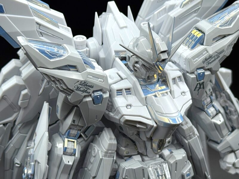 ガンプラ MGEX 1/100 ストライクフリーダムガンダム トワイライト