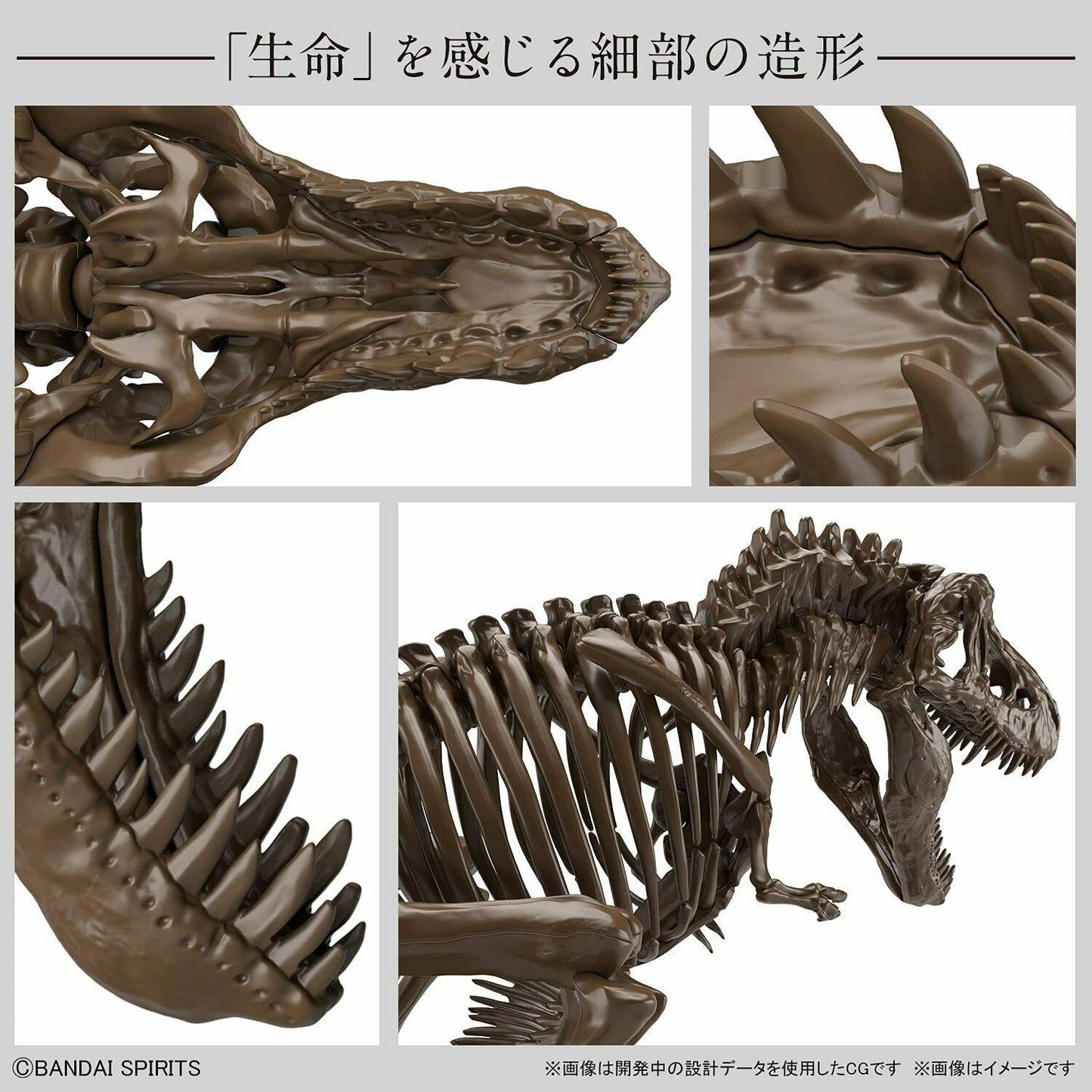 BANDAI - 1/32 - Imaginary Skeleton Tyrannosaurus
