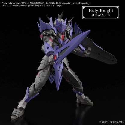 30MF - Class Up Armor - Rosan Holy Knight