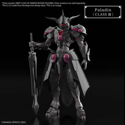 30MF - Class Up Armor - Rosan Paladin