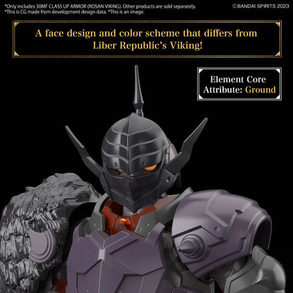 30MF - Class Up Armor (Rosan Viking)