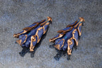 Arcanadea - XenoAlma Trickle Dekapodia - image 3