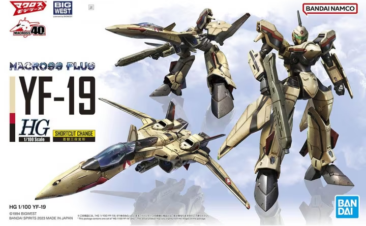 MACROSS - HG 1/100 - YF-19